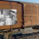 Auschwitz Twin Experiments Survivor Eva Mozes Kor’s Story Told in Virtual Reality